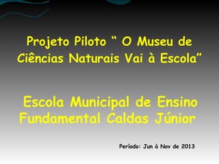 Projeto Piloto “ O Museu de
Ciências Naturais Vai à Escola”

Escola Municipal de Ensino
Fundamental Caldas Júnior
Período: Jun à Nov de 2013

 
