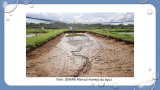 Foto: (SENAR) Manual manejo da água
 