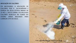 APLICAÇÃO DE CALCÁRIO:
FOI NECESSÁRIO, A APLICAÇÃO DE
CALCÁRIO, POIS A ALCALINIDADE E
DUREZA DA ÁGUA ESTAVA ABAIXO DE
20 MG/L, DESTA FORMA, FOI APLICADO
CALCÁRIO AGRÍCOLA NO FUNDO DO
VIVEIRO AINDA MOLHADO PARA
CORRIGIR O PH DO SOLO.
Foto: (SENAR) Manual manejo da água
 