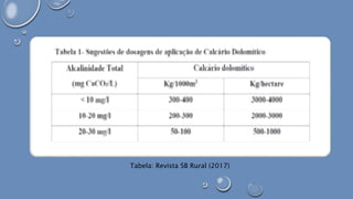 Tabela: Revista SB Rural (2017)
 