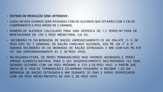 • SISTEMA DE PRODUÇÃO SEMI-INTENSIVO:
• CADA UM DOS VIVEIROS SERÁ POVOADO COM OS ALEVINOS QUE ESTARÃO COM 5 CM DE
COMPRIMENTO E PESO MÉDIO DE 3 GRAMAS.
• NUMERO DE ALEVINOS CALCULADO PARA UMA DESPESCA DE 1,5 PEIXES/M²,TAXA DE
MORTALIDADE DE 10% E PESO MÉDIO FINAL 0,6 KG.
• RECEBERÃO 5% DA BIOMASSA DE RAÇÃO (ARROAÇOAMENTO 2X AO DIA.ATÉ 15 G DE
PESO VIVO OU 3 SEMANAS, DE RAÇÃO FARELADA ALEVINOS, 50% PB. DA 3ª A 6ª
SEMANA RECEBERÃO 5% DA BIOMASSA DE RAÇÃO EXTRUSADA 3 MM COM 42% PB ATÉ
45º DIA (APROXIMADAMENTE 65 G DE PESO VIVO).
• NA SEGUNDA ETAPA, OS PEIXES PERMANECERÃO NOS VIVEIROS ADUBADOS, E TERÃO
APENAS ALIMENTO NATURAL PARA O SEU DESENVOLVIMENTO NOS PRÓXIMOS 165 DIAS,
QUANDO ESTARÃO COM UM PESO PRÓXIMO A 370 G DE PESO VIVO. A PARTIR DAÍ,
INICIA-SE A FASE DE TERMINAÇÃO E OS ANIMAIS PASSARÃO A RECEBER 1,5% DA
BIOMASSA DE RAÇÃO EXTRUSADA 8 MM DURANTE 30 DIAS E SERÃO DESPESCADOS
COM UM PESO MÉDIO PREVISTO DE 600 G DE PESO VIVO.
 