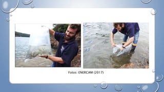 Fotos: ENERCAM (2017)
 