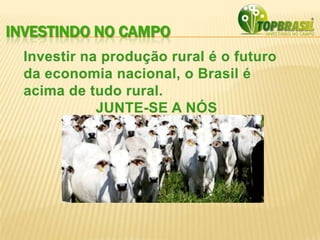 INVESTINDO NO CAMPO
 