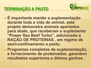 TERMINAÇÃO A PASTO
 É importante manter a suplementação
durante toda a vida do animal, este
projeto demonstra animais apartados
para abate, que receberam o suplemento
“Power Sea Beef Turbo”, adicionado a
RAÇÃO DE PROTEINAS , em regime de
semi-confinamento a pasto.
 Programas completos de suplementação,
e fornecimento de proteínados, garantem
resultados superiores e ótimos ganhos .
 