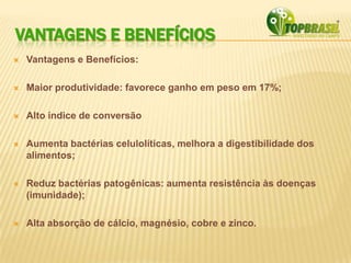 VANTAGENS E BENEFÍCIOS
 Vantagens e Benefícios:
 Maior produtividade: favorece ganho em peso em 17%;
 Alto índice de conversão
 Aumenta bactérias celulolíticas, melhora a digestibilidade dos
alimentos;
 Reduz bactérias patogênicas: aumenta resistência às doenças
(imunidade);
 Alta absorção de cálcio, magnésio, cobre e zinco.
 