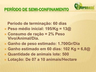 PERÍODO DE SEMI-CONFINAMENTO
Período de terminação: 60 dias
 Peso médio inicial: 195/Kg = 13@
 Consumo de ração = 2% Peso
Vivo/Animal/Dia.
 Ganho de peso estimado: 1.700Gr/Dia
 Ganho estimado em 60 dias: 102 Kg = 6,8@
 Quantidade de animais lote: 500
 Lotação: De 07 a 10 animais/Hectare
 