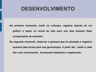 METODOLOGIA UTILIZAR UM GIRASSOL (PLANTA NATURAL)