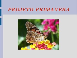 PROJETO PRIMAVERA 