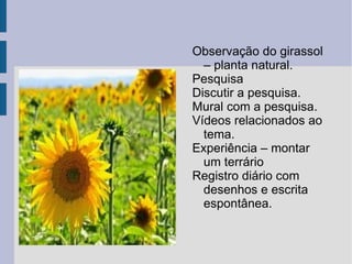 CD DE MÚSICA E VÍDEOS 