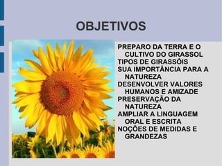 OBJETIVOS PREPARO DA TERRA E O CULTIVO DO GIRASSOL 