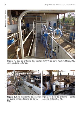 Queijo Minas Artesanal Valorizando a Agroindústria Familiar76
Figura 4. Sala de ordenha de produtor de QMA de Serra Azul de Minas, MG,
com queijaria ao fundo.
Foto:RodrigoParanhosMonteiroFotos:RodrigoParanhosMonteiro
Figura 5. Sala de ordenha de produtor
de queijo minas artesanal do Serro,
MG.
Figura 6. Sala de ordenha – Santo
Antônio do Itambé, MG.
 