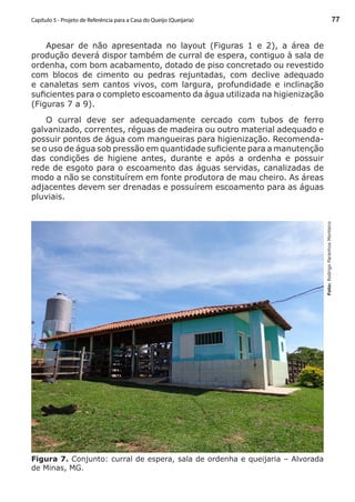 77
Foto:RodrigoParanhosMonteiro
Figura 7. Conjunto: curral de espera, sala de ordenha e queijaria – Alvorada
de Minas, MG.
Apesar de não apresentada no layout (Figuras 1 e 2), a área de
produção deverá dispor também de curral de espera, contiguo à sala de
ordenha, com bom acabamento, dotado de piso concretado ou revestido
com blocos de cimento ou pedras rejuntadas, com declive adequado
e canaletas sem cantos vivos, com largura, profundidade e inclinação
suficientes para o completo escoamento da água utilizada na higienização
(Figuras 7 a 9).
O curral deve ser adequadamente cercado com tubos de ferro
galvanizado, correntes, réguas de madeira ou outro material adequado e
possuir pontos de água com mangueiras para higienização. Recomenda-
se o uso de água sob pressão em quantidade suficiente para a manutenção
das condições de higiene antes, durante e após a ordenha e possuir
rede de esgoto para o escoamento das águas servidas, canalizadas de
modo a não se constituírem em fonte produtora de mau cheiro. As áreas
adjacentes devem ser drenadas e possuírem escoamento para as águas
pluviais.
Capítulo 5 - Projeto de Referência para a Casa do Queijo (Queijaria)
 