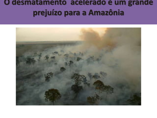 A elevação do mar poderá sumir com países das regiões costeiras