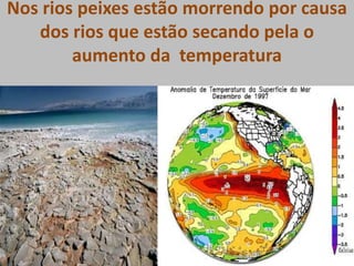 O aquecimento global tempos mais quentes e secos  