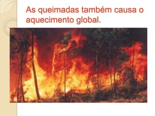 Com as geleira derretendo o nível do mar vai aumentar cada vez mas.