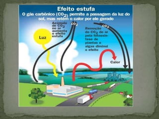 NOSSO PLANETA ESTÁ DERRETENDO  POR CAUSA DA TEMPERATURA