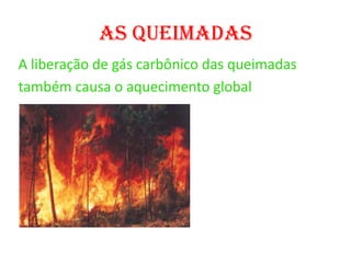 As queimadasA liberação de gás carbônico das queimadas também causa o aquecimento global  