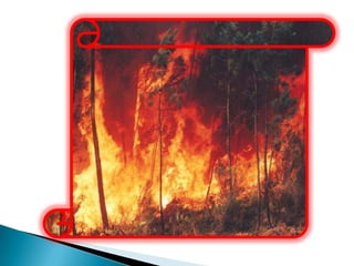 O desmatamento e a queimada de florestas e matas também colabora para este processo. Os raios do Sol atingem o solo e irradiam calor na atmosfera. Como esta camada de poluentes dificulta a dispersão do calor, o resultado é o aumento da temperatura global. Embora este fenômeno ocorra de forma mais evidente nas grandes cidades, já se verifica suas conseqüências em nível global