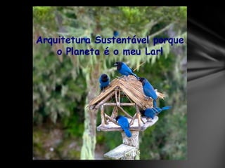 Projeto recriar   apresentacao