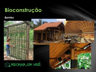 Bambu
Bioconstrução
 