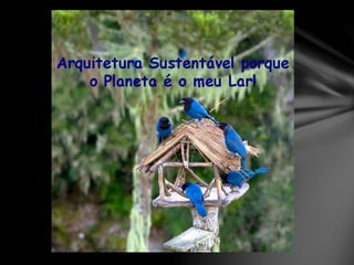 Projeto recriar   fec unicamp