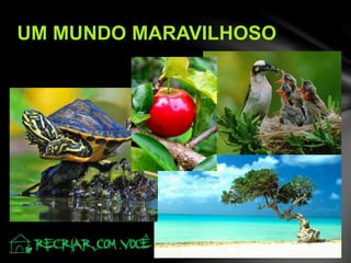 UM MUNDO MARAVILHOSO
 