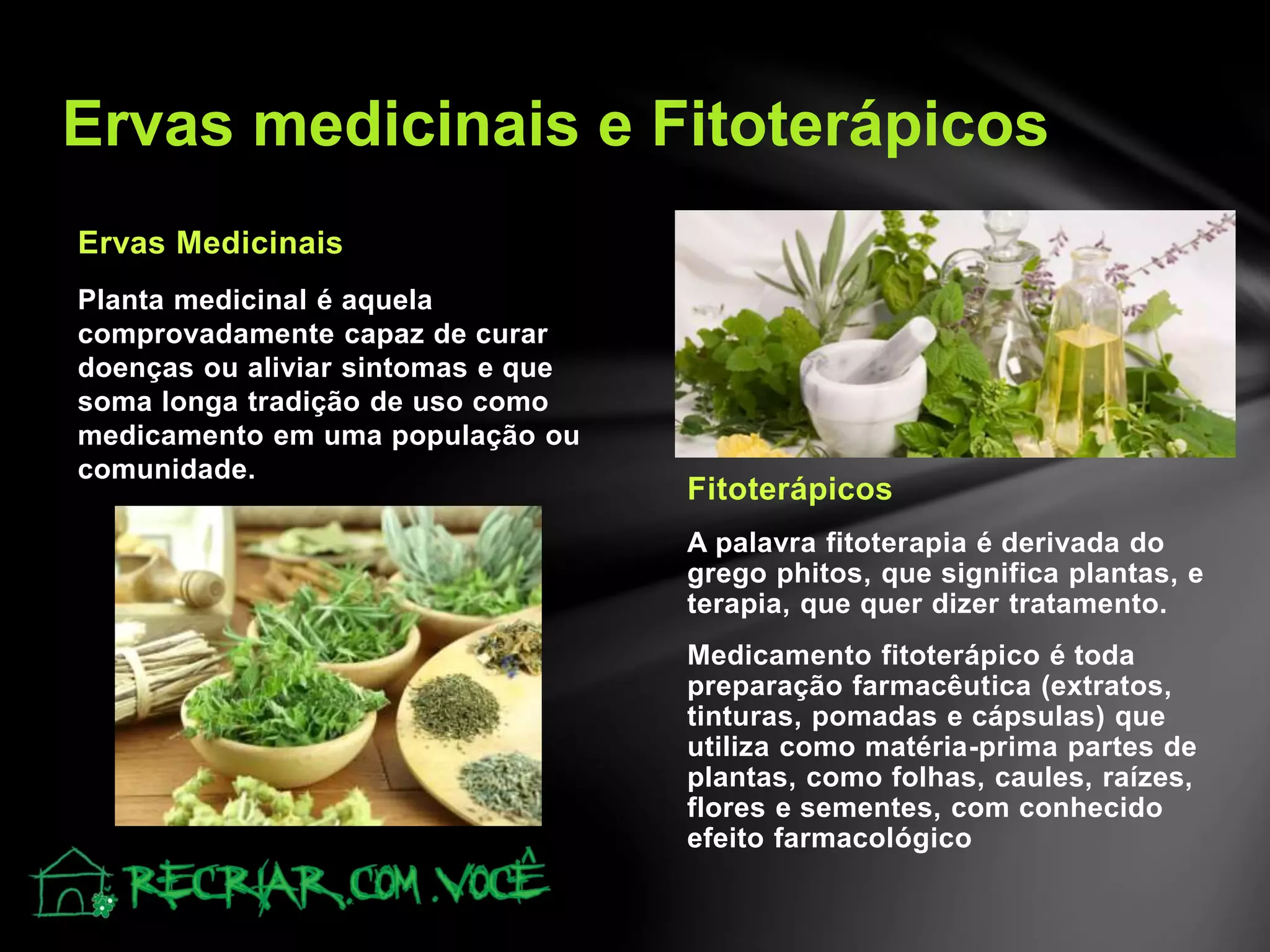 Projeto recriar plantas medicinais | PPTX