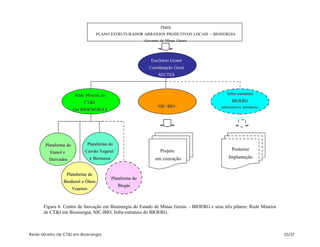 PMDI
                                     PLANO ESTRUTURADOR ARRANJOS PRODUTIVOS LOCAIS – BIONERGIA
                                                               Governo de Minas Gerais



                                                                  Escritório Gestor
                                                                 Coordenação Geral
                                                                      SECTES



                        Rede Mineira de                                                       Infra-estrutura
                             CT&I                                                                 BIOERG
                                                                      NIC-BIO             (administrativa, laboratórios
                       Em BIOENERGIA




       Plataforma do          Plataforma do
                             Carvão Vegetal                            Projeto                    Posterior
         Etanol e
         Derivados                e Biomassa                        em execução                Implantação


                    Plataforma do
                                               Plataforma do
                Biodiesel e Óleos
                                                  Biogás
                       Vegetais



      Figura 6. Centro de Inovação em Bioenergia do Estado de Minas Gerais – BIOERG e seus três pilares: Rede Mineira
      de CT&I em Bioenergia, NIC-BIO, Infra-estrutura do BIOERG.



Rede Mineira de CT&I em Bioenergia                                                                                        25/37
 