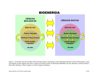 BIOENERGIA
                          CIÊNCIAS
                         BIOLÓGICAS                                                    CIÊNCIAS EXATAS


                           REDE DE CT&I                                                      REDE DE CT&I


                         Etanol e Derivados                                                 Etanol e Derivados


                     Biodiesel e Óleos Vegetais                                        Biodiesel e Óleos Vegetais


                          Carvão Vegetal                                                     Carvão Vegetal
                            e Resíduos                                                         e Resíduos


                               NIC-BIO                                                            NIC-BIO




Figura 7. Associação entre dois grandes ramos da ciência básica e aplicada que estão estritamente ligados ao setor da Bioenergia e como
eles abrigam as inter-relações dos atores e ações do Escritório Gestor da Bioenergia (BIOERG) nas suas diferentes vertentes (Etanol e
Derivados; Biodiesel e Óleos Vegetais; e Carvão Vegetal e Resíduos).



Rede Mineira de CT&I em Bioenergia                                                                                               27/37
 