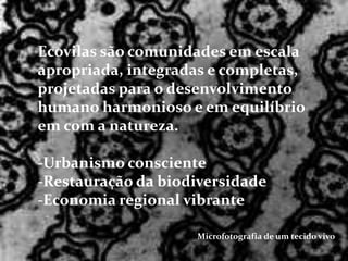 Ecovilas são comunidades em escala
apropriada, integradas e completas,
projetadas para o desenvolvimento
humano harmonioso e em equilíbrio
em com a natureza.
-Urbanismo consciente
-Restauração da biodiversidade
-Economia regional vibrante
Microfotografia de um tecido vivo
 