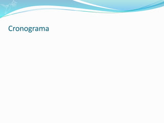 Cronograma
 