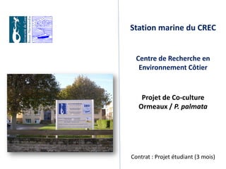 Station marine du CREC


  Centre de Recherche en
   Environnement Côtier



    Projet de Co-culture
   Ormeaux / P. palmata




Contrat : Projet étudiant (3 mois)
 