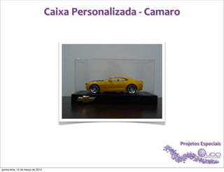 Caixa	
  Personalizada	
  -­‐	
  Camaro




                                                                              Projetos	
  Especiais



quinta-feira, 15 de março de 2012
 