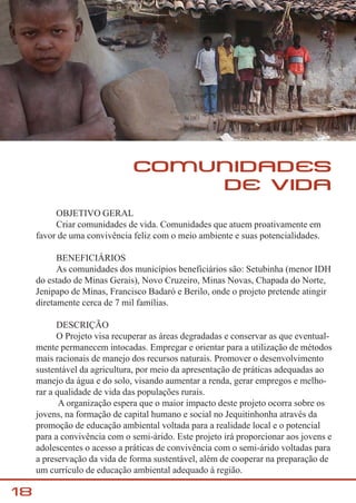 Projetos - síntese - Jequitinhonha