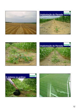 Implantação da Floresta




   Implantação Floresta   Implantação da Floresta




O sistema na prática:




                                                    12
 