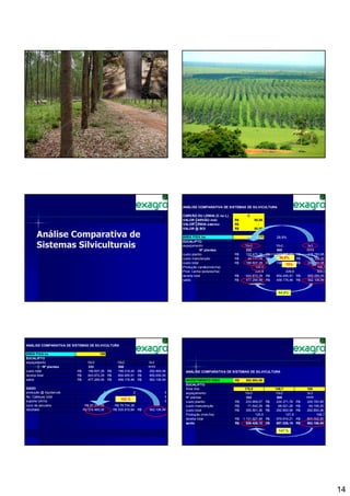 80




                                                                                 ANÁLISE COMPARATIVA DE SISTEMAS DE SILVICULTURA

                                                                                 CARVÃO OU LENHA (C ou L)          C
                                                                                 VALOR CARVÃO mdc           R$          90,00
                                                                                 VALOR LENHA estereo        R$            -
                                                                                 VALOR @ BOI                R$          80,00

       Análise Comparativa de                                                    ÁREA FIXA ha                             100         29,9%
                                                                                 EUCALIPTO
       Sistemas Silviculturais                                                   espaçamento
                                                                                             Nº plantas
                                                                                                                  10x3
                                                                                                                   333
                                                                                                                                      10x2
                                                                                                                                       500
                                                                                                                                                          3x3
                                                                                                                                                          1111
                                                                                 custo plantio              R$     122.470,26    R$   149.902,66     R$    228.783,85
                                                                                 custo manutenção           R$      44.137,04    R$      56,8%
                                                                                                                                        48.416,79    R$     64.109,20
                                                                                 custo total                R$     166.607,29    R$   198.319,45     R$    292.893,06
                                                                                                                                             75%
                                                                                 Produção carvão(mdc/ha)                 125,5               127,6               166,7
                                                                                 Prod. Lenha (estereo/ha)                225,9               229,6               300,0
                                                                                 receita total              R$     643.872,29    R$   654.495,91     R$    855.000,00
                                                                                 saldo                      R$     477.264,99    R$   456.176,46     R$    562.106,94


                                                                                                                                        84,9%




ANÁLISE COMPARATIVA DE SISTEMAS DE SILVICULTURA

ÁREA FIXA ha                            100
EUCALIPTO
espaçamento                     10x3              10x2             3x3
            Nº plantas           333               500             1111
custo total              R$     166.607,29 R$     198.319,45 R$     292.893,06    ANÁLISE COMPARATIVA DE SISTEMAS DE SILVICULTURA
receita total            R$     643.872,29 R$     654.495,91 R$     855.000,00
saldo                    R$     477.265,00 R$     456.176,46 R$     562.106,94    INVESTIMENTO FIXO         R$    292.893,06
                                                                                  EUCALIPTO
GADO                                                                              Área (ha)                       175,8               149,7               100
produção @ líquida/cab                     2                 2               0    espaçamento                     10x3                10x2                3x3
No. Cabeças total                        135               118               0    Nº plantas                       333                 500                1111
                                                    102 %
suporte UA/ha                           0,71              0,62               0    custo plantio             R$     233.959,07    R$    224.371,78    R$   228.783,85
lucro da pecuária              R$ 97.200,00      R$ 79.734,38                     custo manutenção          R$      71.542,29    R$     68.521,28    R$    64.109,20
resultado                     R$ 574.465,00     R$ 535.910,84 R$   562.106,94     custo total               R$     305.501,36    R$    292.893,06    R$   292.893,06
                                                                                  Produção (mdc/ha)                      125,5               127,6              166,7
                                                                                  receita total             R$   1.131.927,48    R$    979.919,21    R$   855.000,00
                                                                                  saldo                     R$     826.426,12    R$    687.026,15    R$   562.106,94

                                                                                                                                        147 %




                                                                                                                                                                         14
 