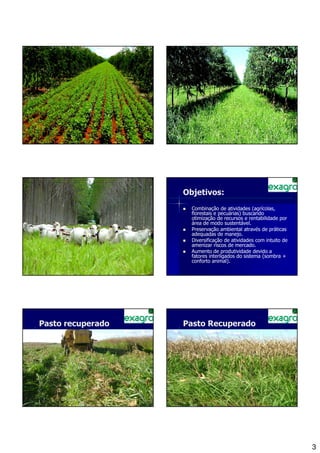 13                                               14




                        Objetivos:
                          Combinação de atividades (agrícolas,
                          florestais e pecuárias) buscando
                          otimização de recursos e rentabilidade por
                          área de modo sustentável.
                          Preservação ambiental através de práticas
                          adequadas de manejo.
                          Diversificação de atividades com intuito de
                          amenizar riscos de mercado.
                          Aumento de produtividade devido a
                          fatores interligados do sistema (sombra +
                          conforto animal).




Pasto recuperado        Pasto Recuperado




                                                                         3
 