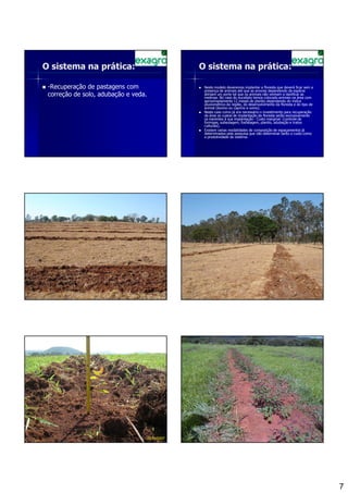 O sistema na prática:                              O sistema na prática:

 -Recuperação de pastagens com                      Neste modelo deveremos implantar a floresta que deverá ficar sem a
                                                    presença de animais até que as arvores dependendo da espécie
 correção de solo, adubação e veda.                 atinjam um porte tal que os animais não venham a danificar as
                                                    mesmas. No caso do eucalipto temos colocado animais na área com
                                                    aproximadamente 12 meses de plantio dependendo do índice
                                                    pluviométrico da região, do desenvolvimento da floresta e do tipo de
                                                    animal (bovino ou caprino e ovino).
                                                    Neste caso como já era necessário o investimento para recuperação
                                                    da área os custos de implantação da floresta serão exclusivamente
                                                    os inerentes à sua implantação - Custo marginal- (controle de
                                                    formigas, subsolagem, fosfatagem, plantio, adubação e tratos
                                                    culturais).
                                                    Existem varias modalidades de composição de espaçamentos já
                                                    determinados pela pesquisa que vão determinar tanto o custo como
                                                    a produtividade do sistema.




                                      22/11/2007




                                                                                                                           7
 