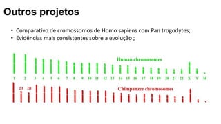 Outros projetos
• Comparativo de cromossomos de Homo sapiens com Pan trogodytes;
• Evidências mais consistentes sobre a evolução ;
 