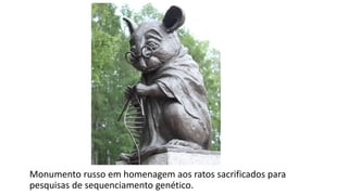 Monumento russo em homenagem aos ratos sacrificados para
pesquisas de sequenciamento genético.
 