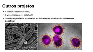 • A bactéria Escherichia coli;
• O vírus responsável pela SARS ;
• Grande importância econômica está altamente relacionado ao interesse
científico!
Outros projetos
 