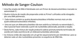 Método de Sanger-Coulson
• Uma fita simples de DNA é hibridizada com um Primer de desoxinucleotídeos marcado na
extremidade 5';
• Quatro misturas de reação são preparadas onde os Primer's utilizados serão elongados
por uma DNA polimerase.
• Cada mistura contém os quatro desoxinucleosídeos trifosfato normais mais um dos
quatro didesoxinucleosídeos trifosfato;
• Uma vez que um didesoxinucleotídeo não tem oxidrila ou hidroxila na extremidade 3 ,
não é possível haver extensão a partir do nucleotídeo adicionado, parando a reação;
• Desta forma, cada mistura de reação produzirá cadeias prematuramente terminadas de
acordo com toda ocorrência de um didesoxinucleotídeo adicionado.
• As misturas então são separadas em um gel de sequenciamento por eletroforese para se
detectar cada um dos nucleotídeos presentes na sequência de DNA lida.
 