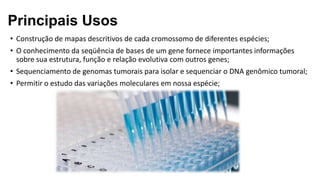 • Construção de mapas descritivos de cada cromossomo de diferentes espécies;
• O conhecimento da seqüência de bases de um gene fornece importantes informações
sobre sua estrutura, função e relação evolutiva com outros genes;
• Sequenciamento de genomas tumorais para isolar e sequenciar o DNA genômico tumoral;
• Permitir o estudo das variações moleculares em nossa espécie;
Principais Usos
 