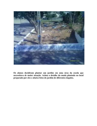 Os alunos decidiram plantar um jardim em uma área da escola que
necessitava de maior atenção. Acima o detalhe da muda plantada no local
preparado por eles e abaixo fotos do jardim de diferentes ângulos.
 
