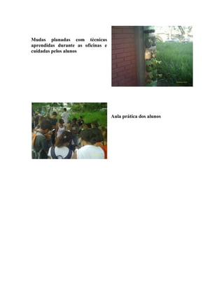 Mudas planadas com técnicas
aprendidas durante as oficinas e
cuidadas pelos alunos




                                   Aula prática dos alunos
 