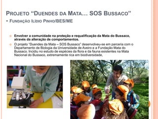 PROJETO “DUENDES DA MATA… SOS BUSSACO”
- FUNDAÇÃO ILÍDIO PINHO/BES/ME

    Envolver a comunidade na proteção e requalificação da Mata do Bussaco,
     através da alteração de comportamentos.
    O projeto “Duendes da Mata – SOS Bussaco” desenvolveu-se em parceria com o
     Departamento de Biologia da Universidade de Aveiro e a Fundação Mata do
     Bussaco. Incidiu no estudo de espécies da flora e da fauna existentes na Mata
     Nacional do Bussaco, extremamente rica em biodiversidade,
 