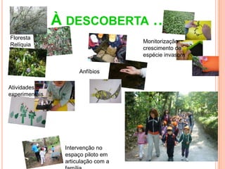 À DESCOBERTA …
Floresta
                                         Monitorização
Relíquia
                                         crescimento de
                                         espécie invasora

                      Anfíbios

Atividades
experimentais                                    Exposição




                                     Recriação              Caminhad
                                     histórica              a
                 Intervenção no
                 espaço piloto em
                 articulação com a
 
