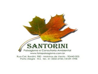 Projetos e execução de jardins