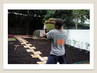 Projetos e execução de jardins