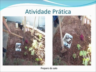 Atividade Prática Preparo do solo 